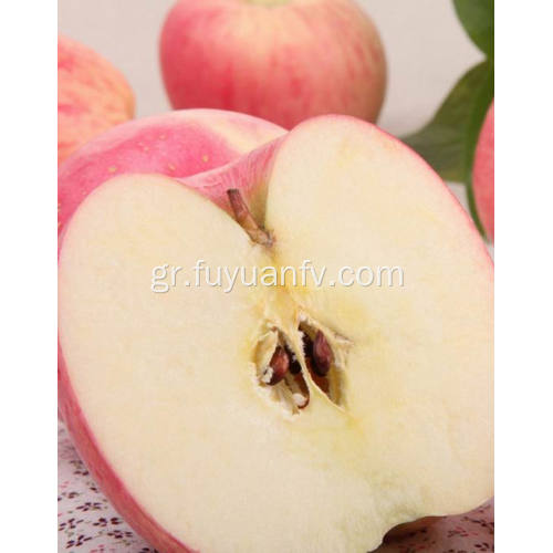 Εξαγωγή Η κορυφαία ποιότητα Fresh μήλο Fuji (64-198)